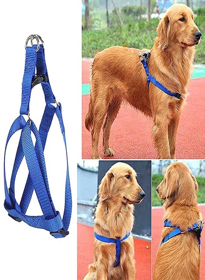 Pups&Pets Puppy 15 MM Nylon Adjustable Leash with 0.5 Inch Harness Set for Small & Medium Dogs - Blue - Image 3